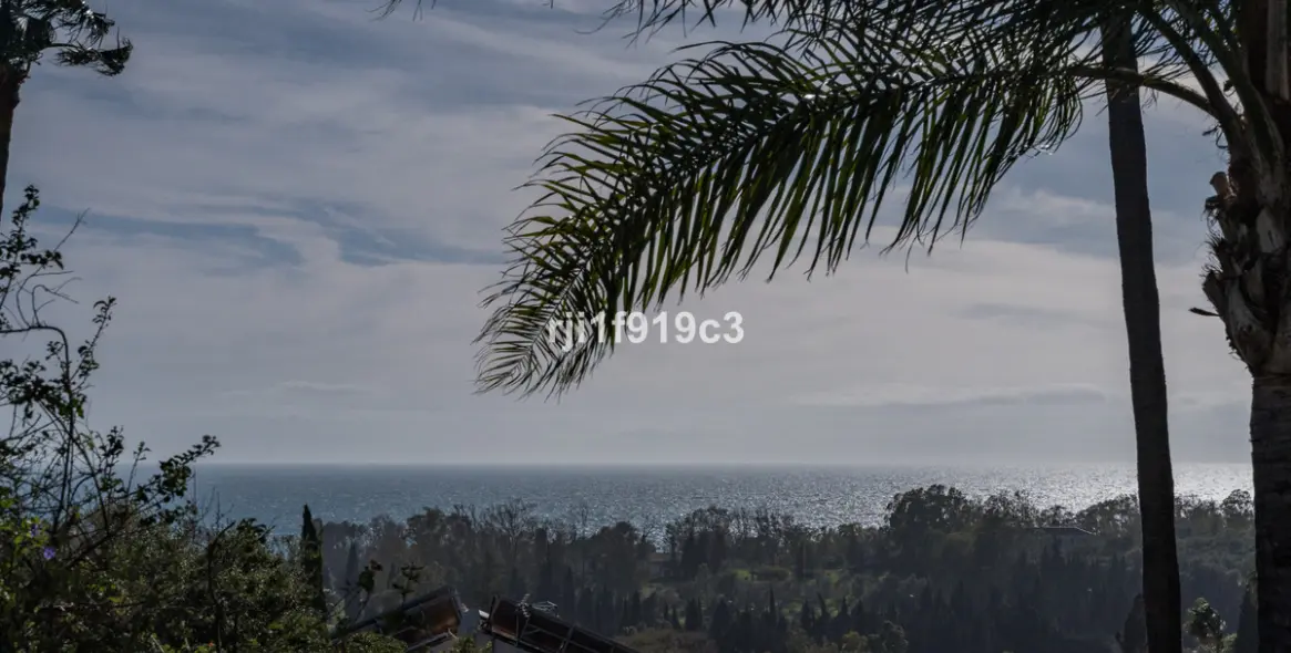 Sale of detached villa in Elviria 51