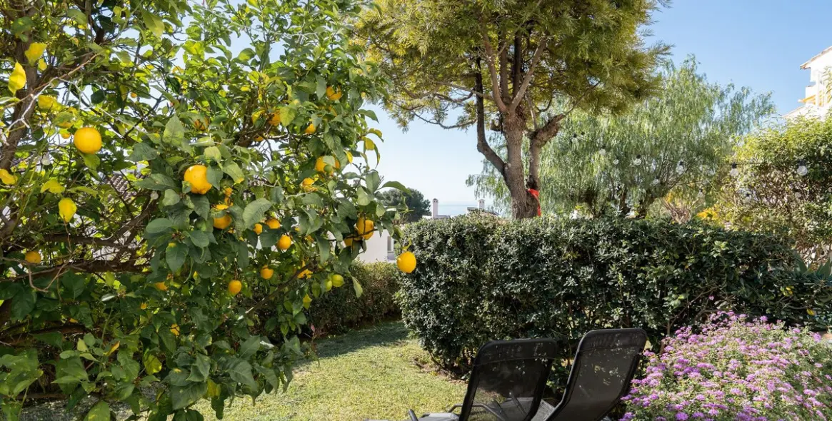 Продажа дома на две семьи в Calahonda 25