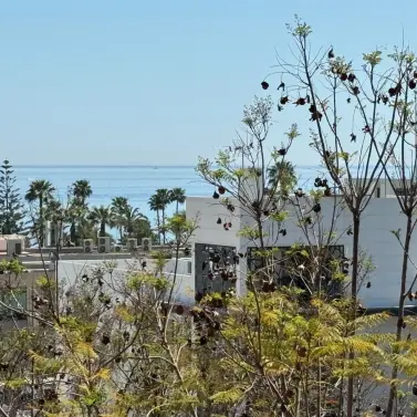 Alquiler a corto plazo de ático en Marbella