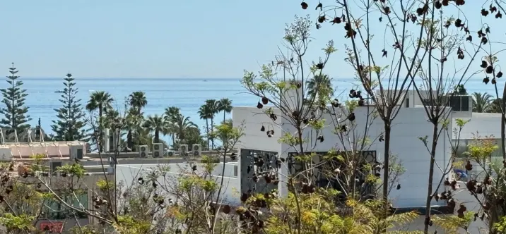 Alquiler a corto plazo de ático en Marbella 4