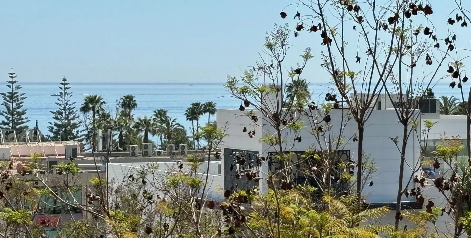 Продажа пентхауса в Marbella 9
