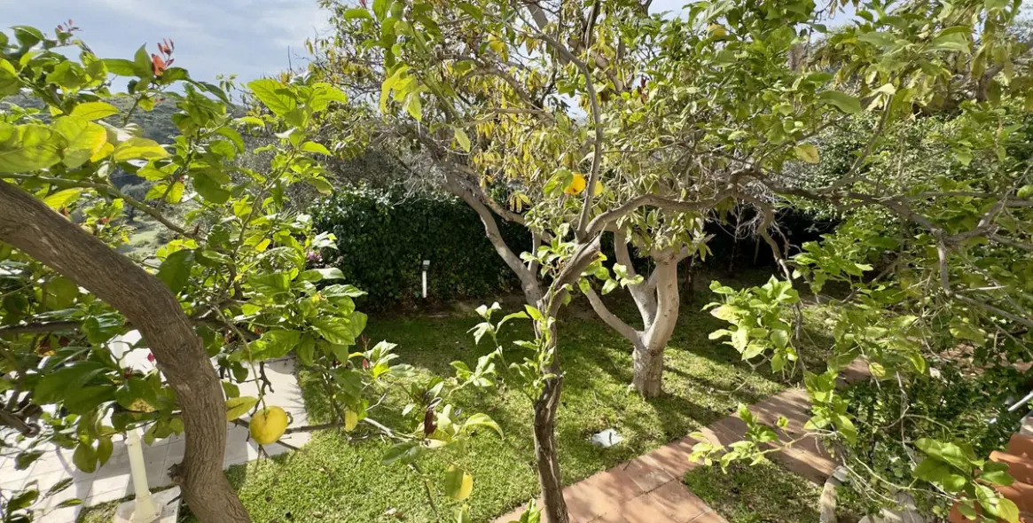 Продажа  отдельно стоящей виллы в Mijas 33