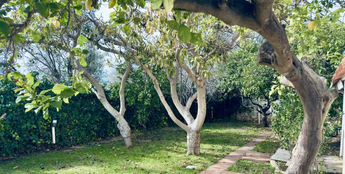 Продажа  отдельно стоящей виллы в Mijas 37