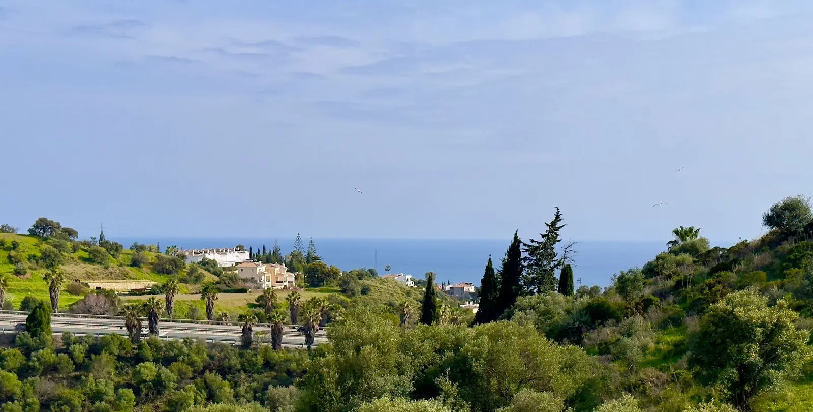 Sale of detached villa in Mijas 3