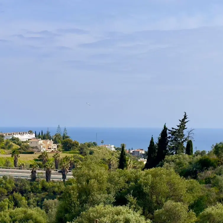 Sale of detached villa in Mijas