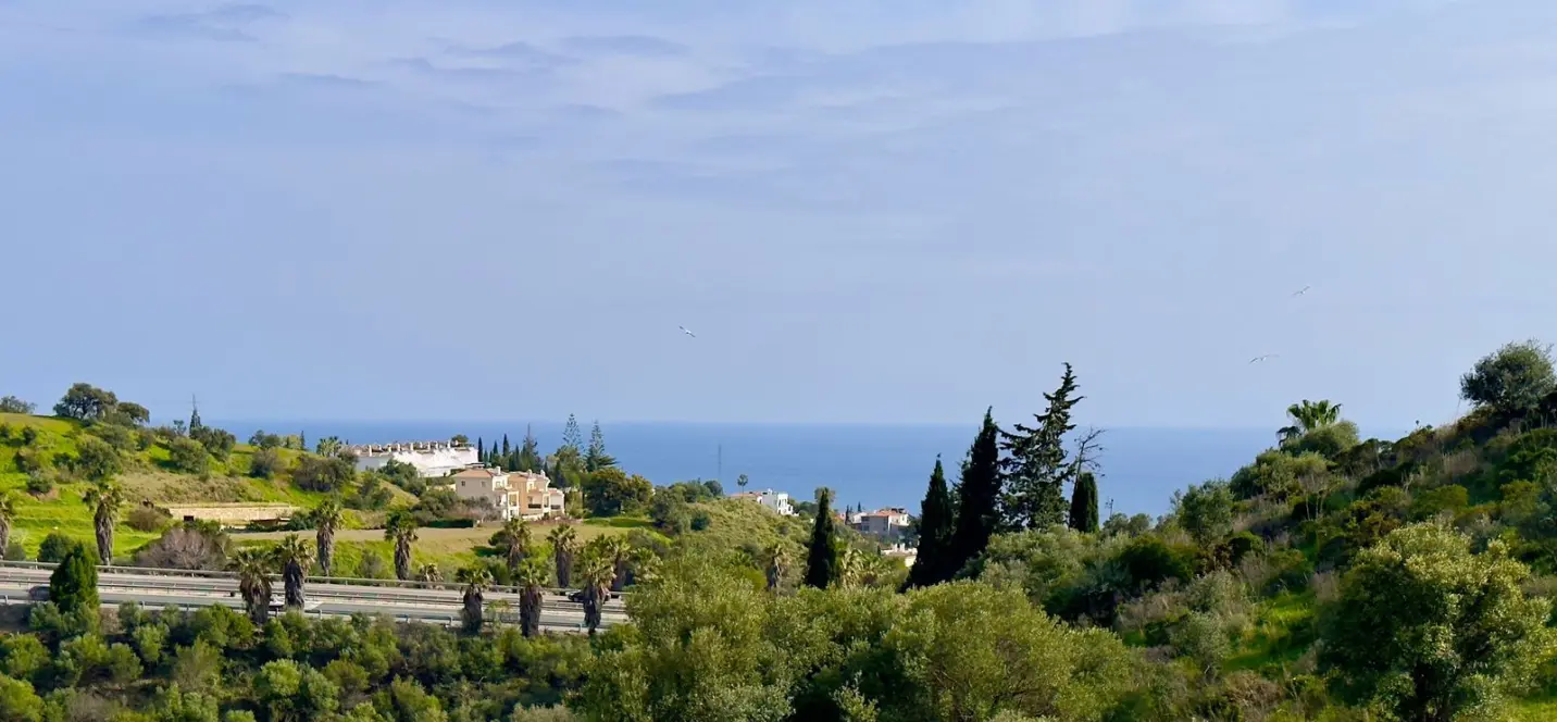 Sale of detached villa in Mijas 2