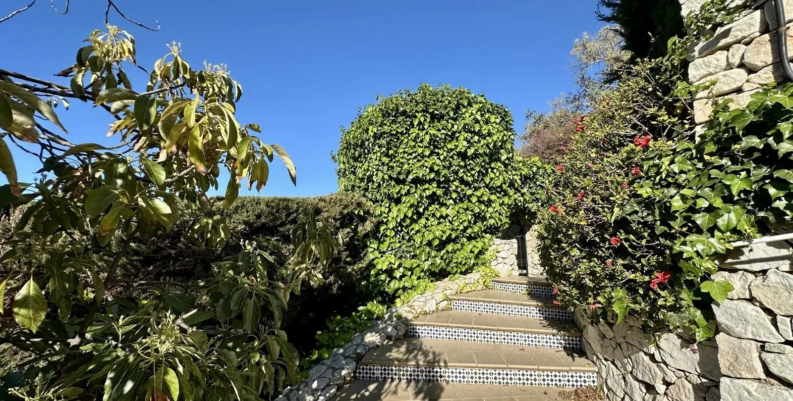 Sale of detached villa in Mijas 42