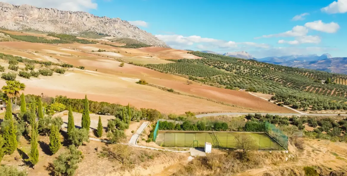 Продажа финки в Villanueva De La Concepcion 13