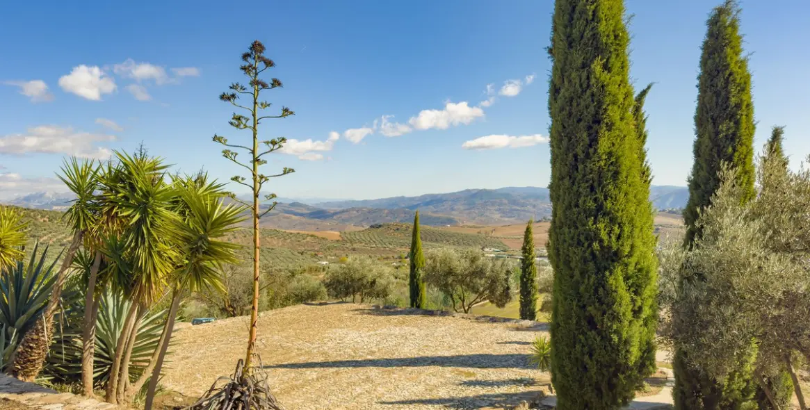 Sale of finca - cortijo in Villanueva De La Concepcion 24