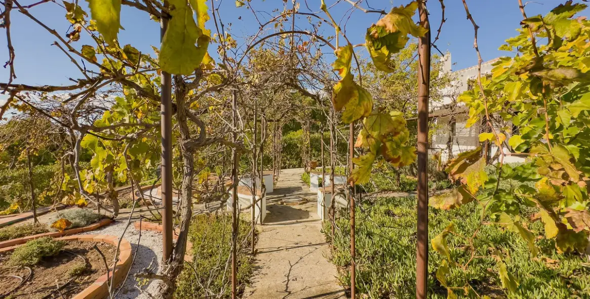 Sale of finca - cortijo in Villanueva De La Concepcion 78