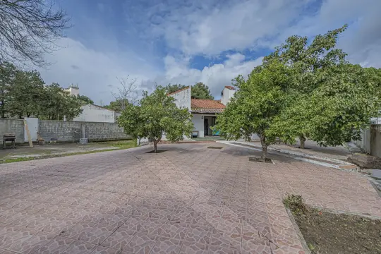 Image 6 thumb