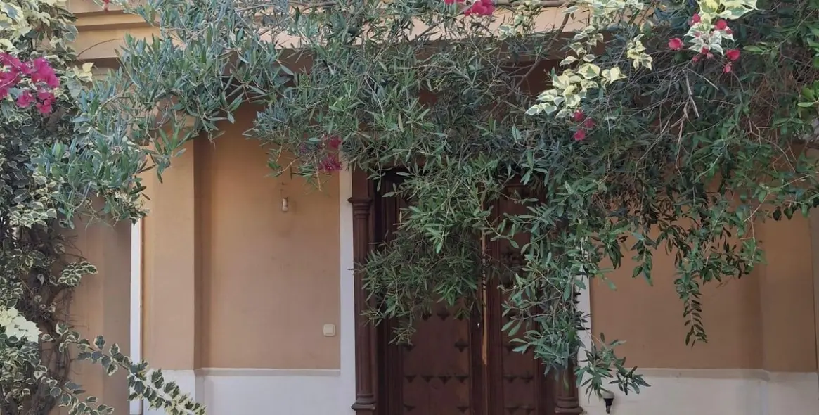 Продажа  отдельно стоящей виллы в Estepona 4