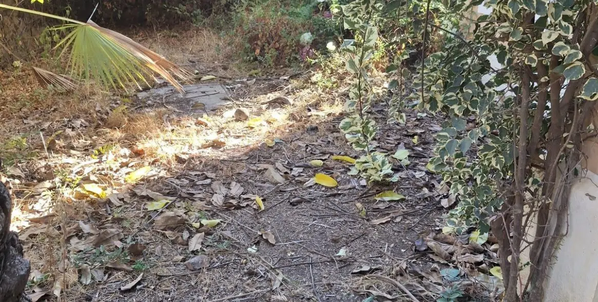 Продажа  отдельно стоящей виллы в Estepona 11