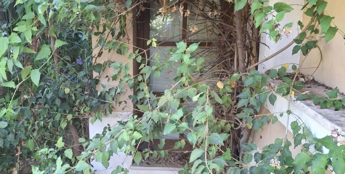 Продажа  отдельно стоящей виллы в Estepona 15