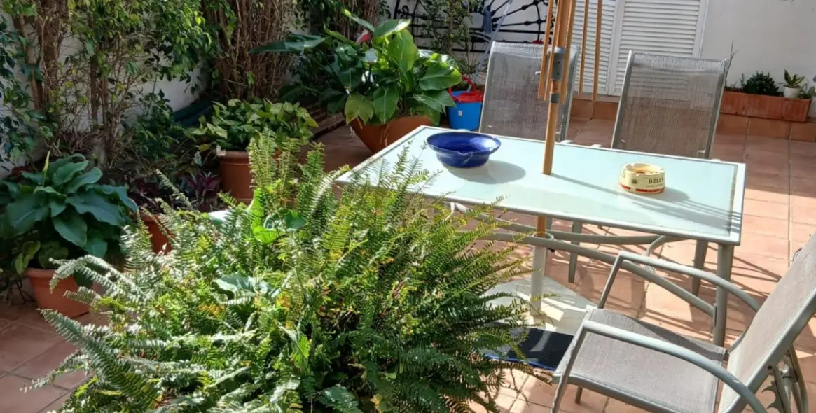 Sale of townhouse in Estepona 14