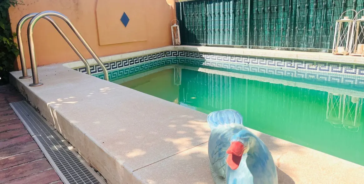 Venta de adosado en The Golden Mile 4