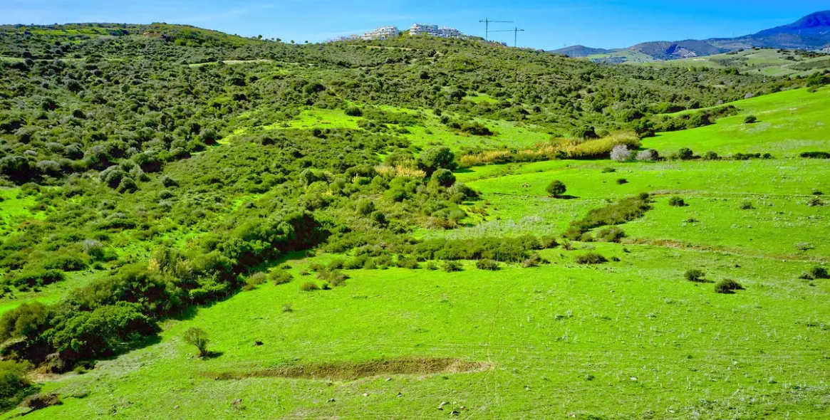 Venta de apartamento en planta baja en Estepona 19