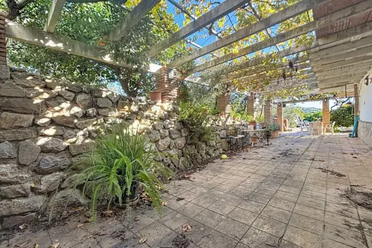 Image 7 thumb