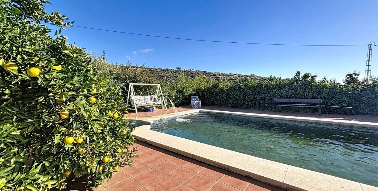 Sale of detached villa in Periana 37
