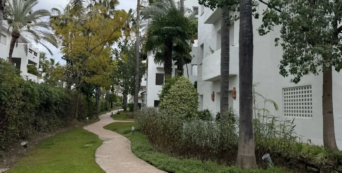 Long-term rent of penthouse in Cancelada 1