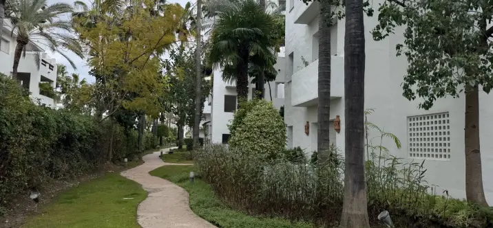 Long-term rent of penthouse in Cancelada 0