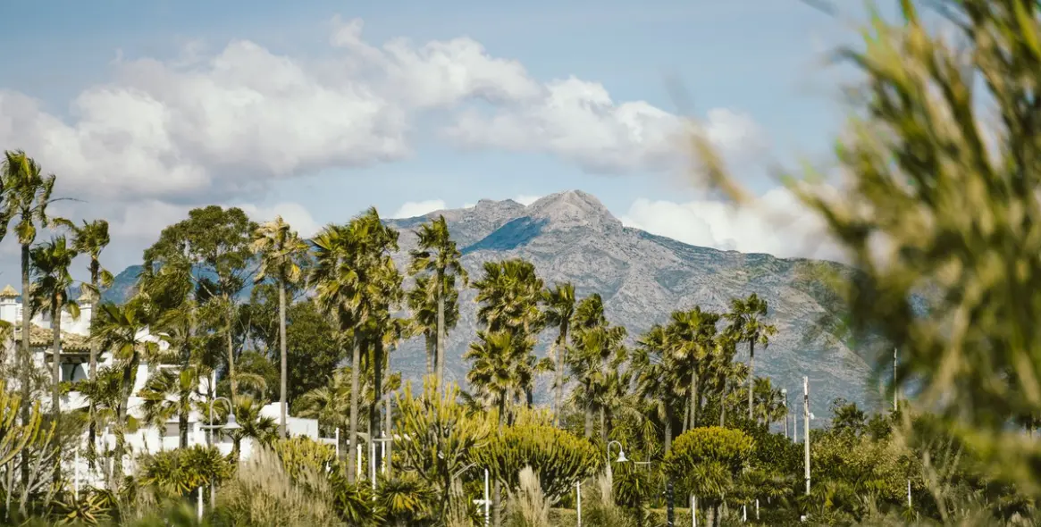 Alquiler a corto plazo de ático en Cancelada 51