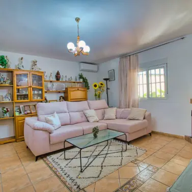 Venta de finca - cortijo en Alcaucín