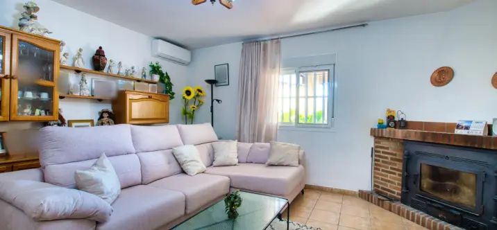 Venta de finca - cortijo en Alcaucín 4