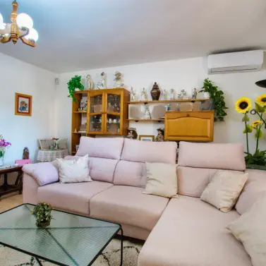 Venta de finca - cortijo en Alcaucín