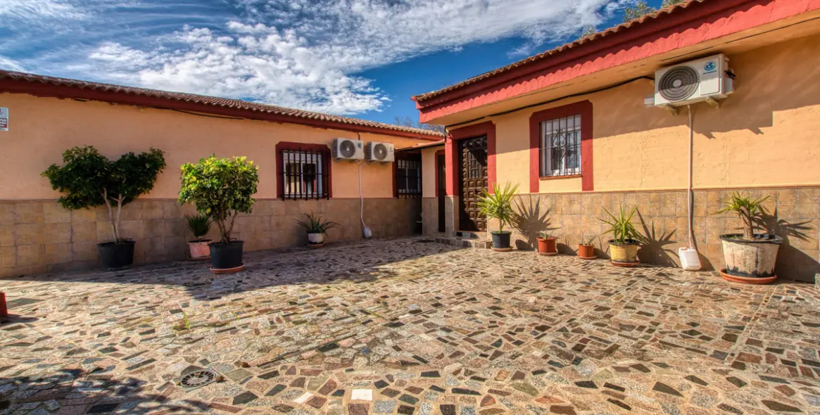 Venta de finca - cortijo en Alcaucín 31