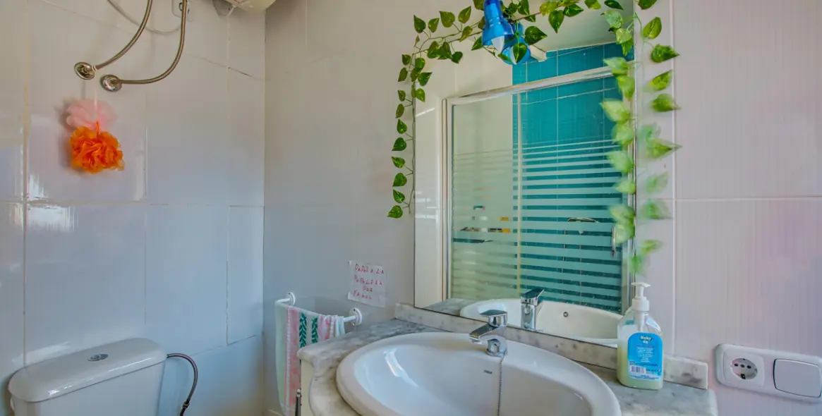 Venta de finca - cortijo en Alcaucín 36