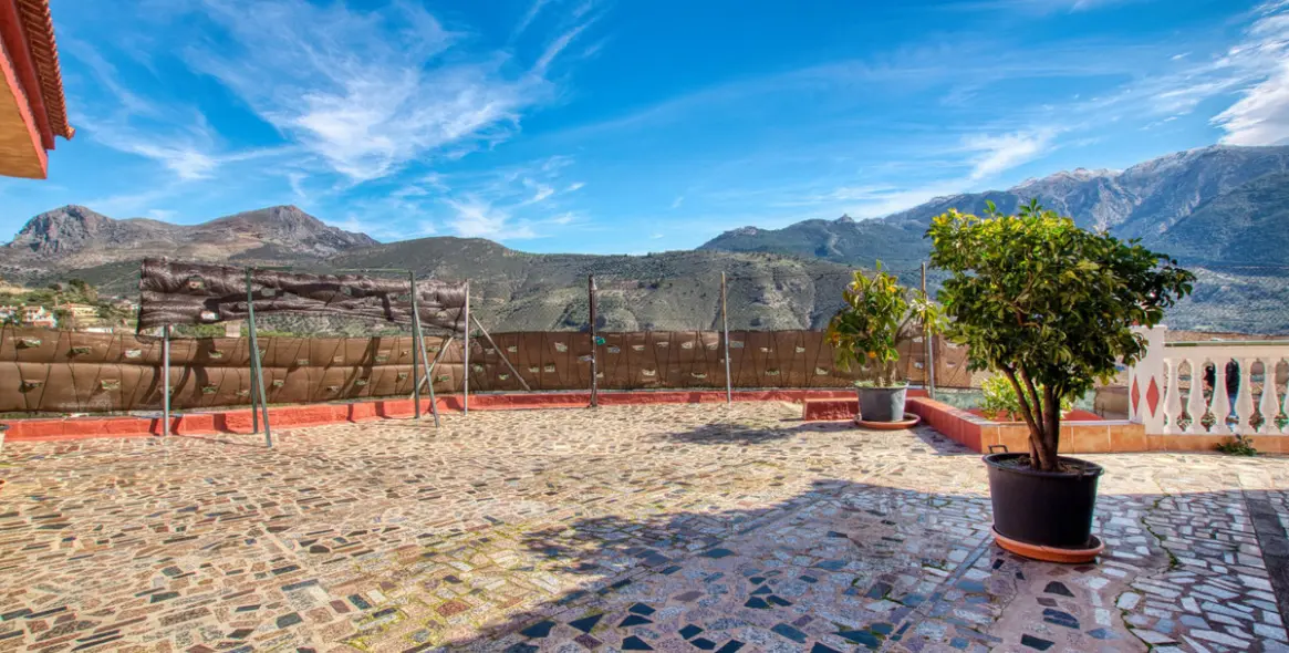 Venta de finca - cortijo en Alcaucín 37