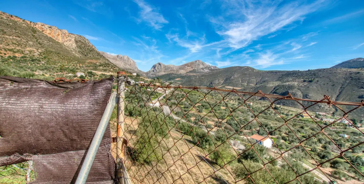 Venta de finca - cortijo en Alcaucín 39