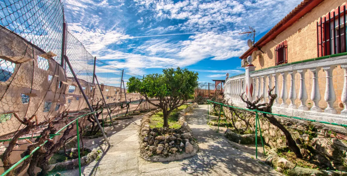 Venta de finca - cortijo en Alcaucín 41