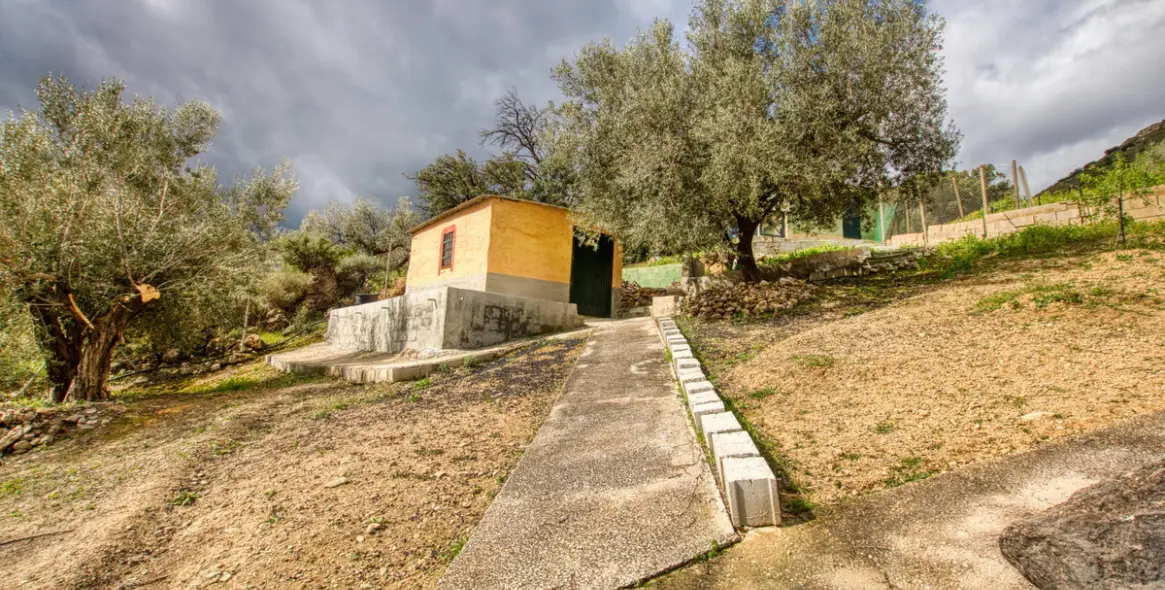 Venta de finca - cortijo en Alcaucín 43