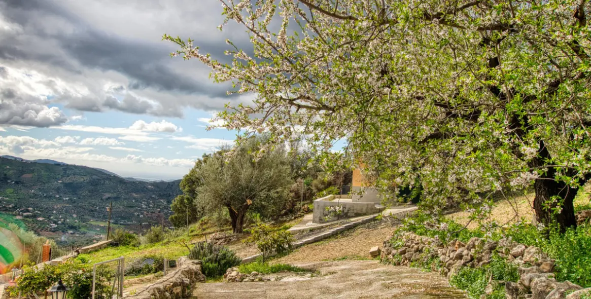 Venta de finca - cortijo en Alcaucín 45