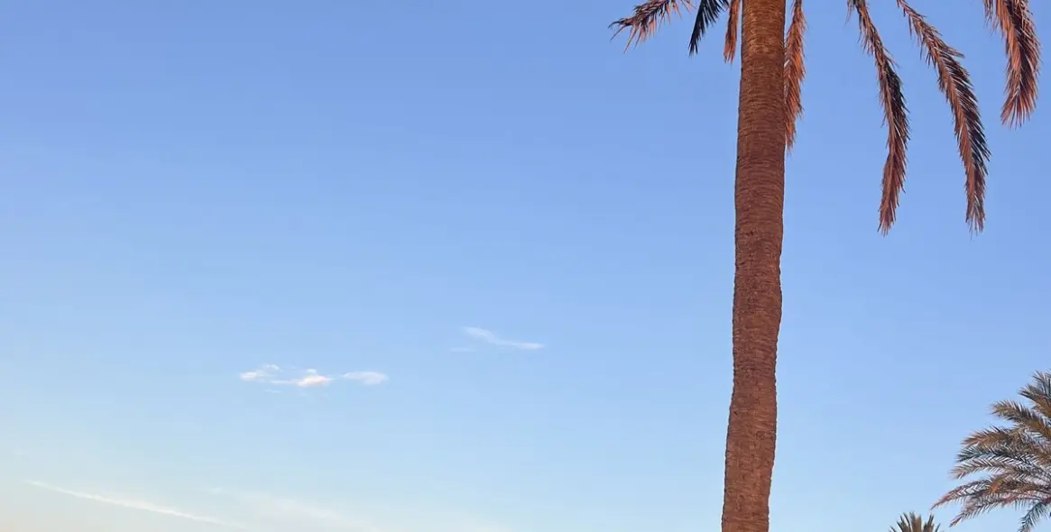 Sale of ground floor apartment in Calahonda 14