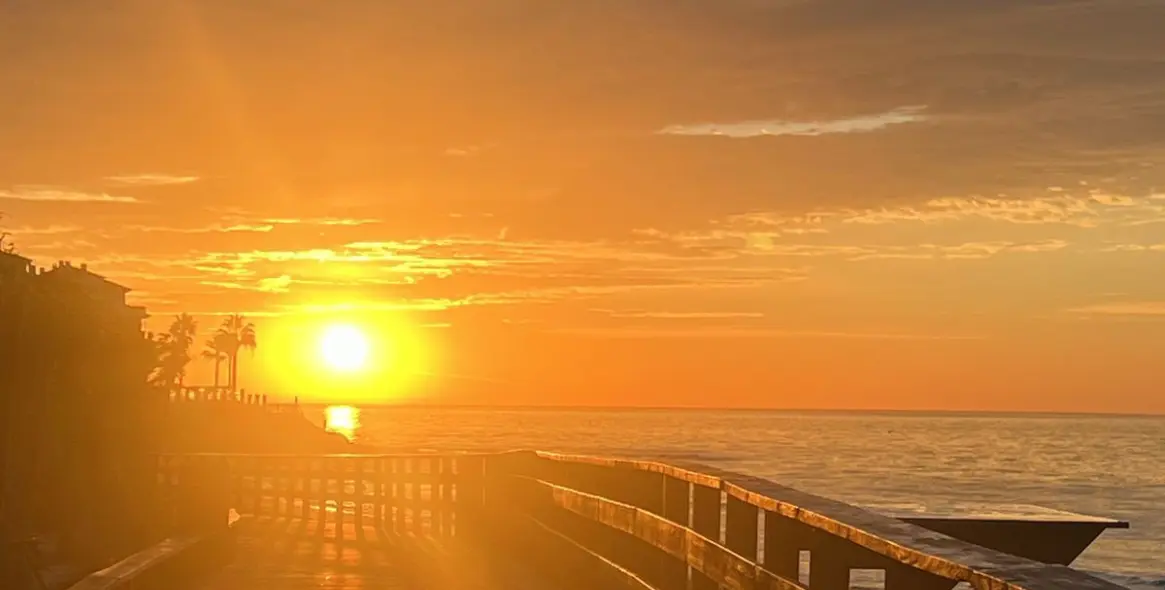 Sale of ground floor apartment in Calahonda 15