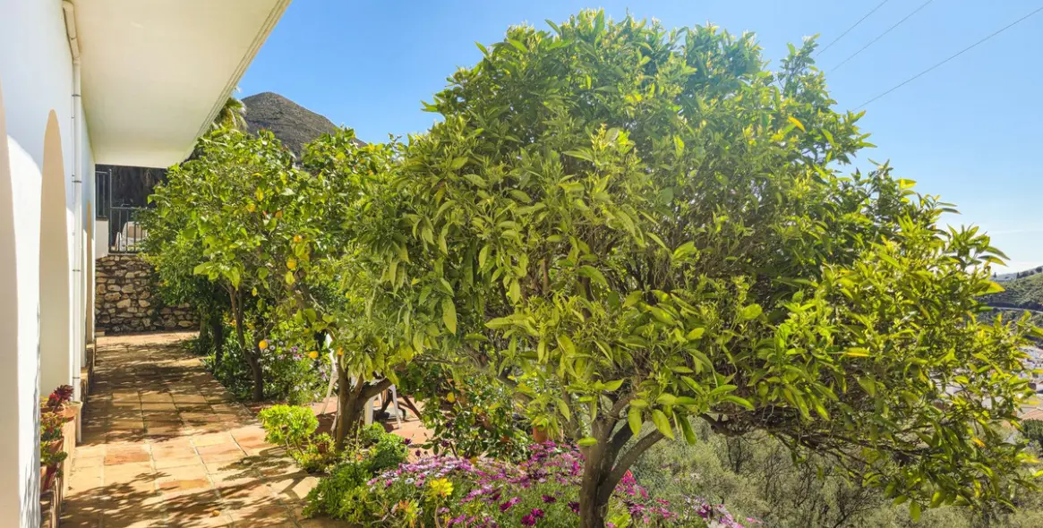 Продажа  отдельно стоящей виллы в Cómpeta 56