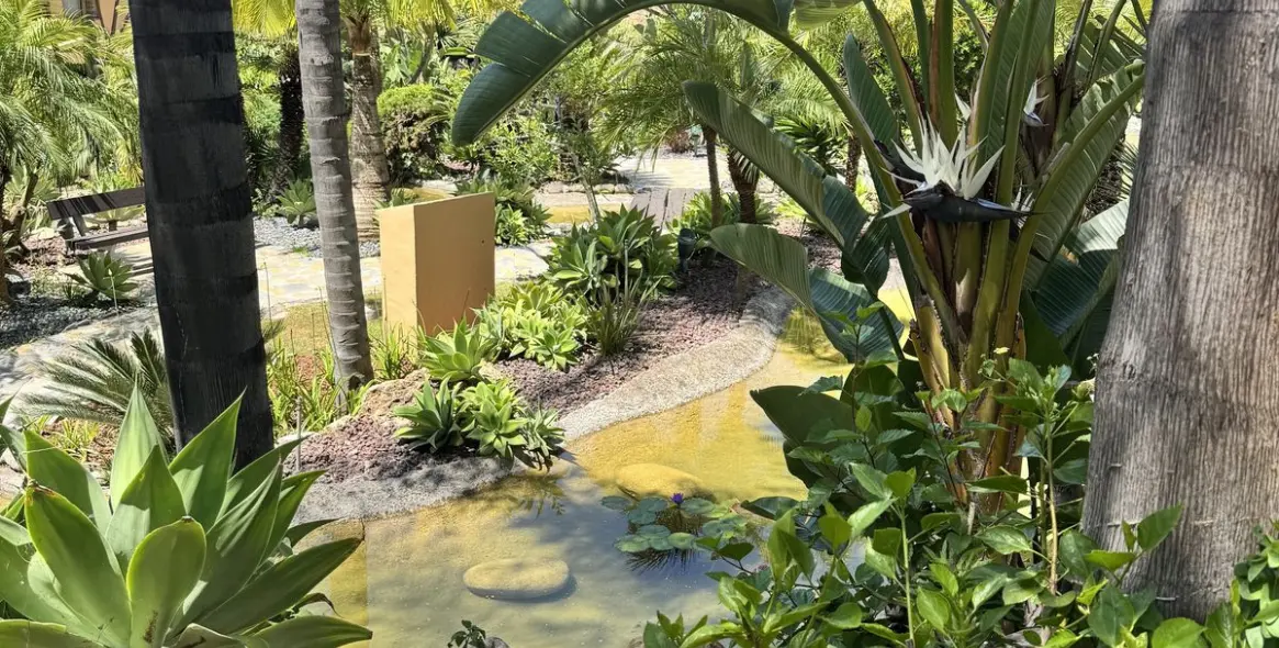 Sale of middle floor apartment in Sierra Blanca 16