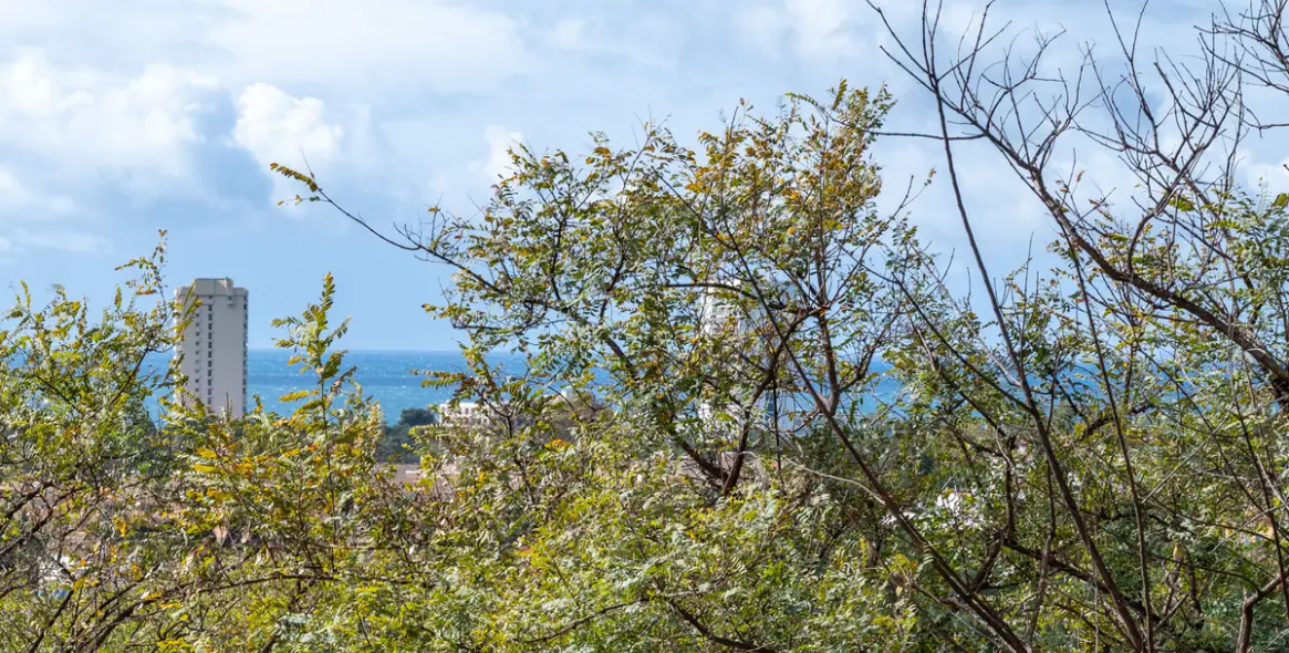 Продажа апартаментов на среднем этаже в Elviria 24