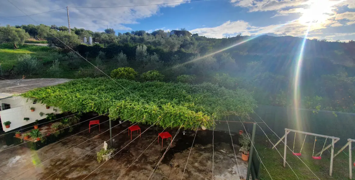 Sale of detached villa in Guaro 25