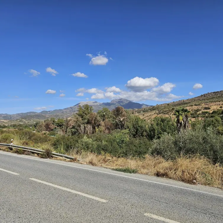 Sale of detached villa in Guaro