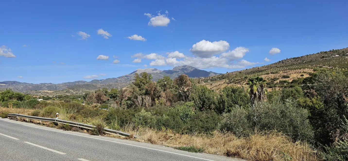 Sale of detached villa in Guaro 0
