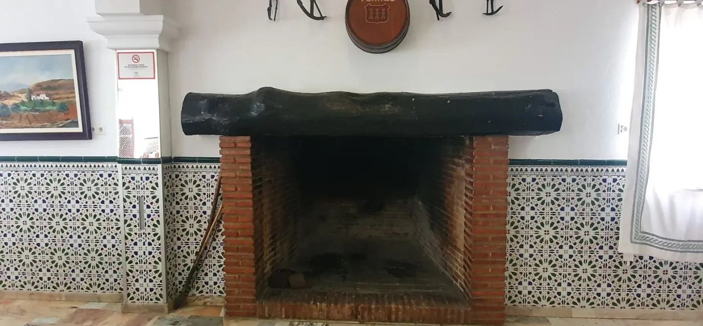 Sale of detached villa in Guaro 2