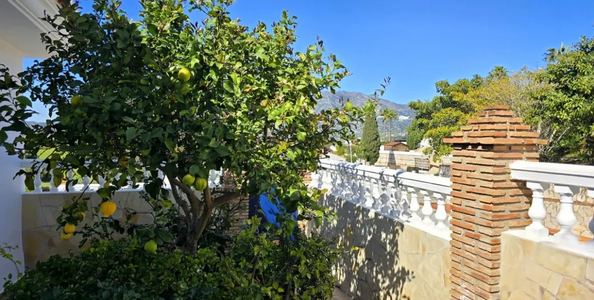 Продажа  отдельно стоящей виллы в Cerros del Aguila 14