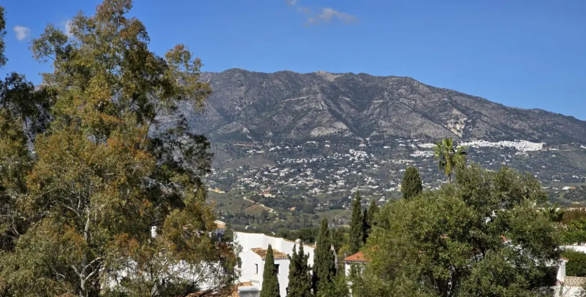 Продажа  отдельно стоящей виллы в Cerros del Aguila 15