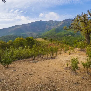 Venta de parcela residencial en La Zagaleta