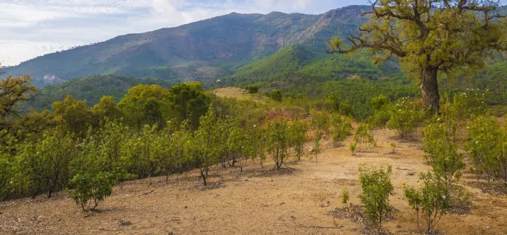 Venta de parcela residencial en La Zagaleta 2