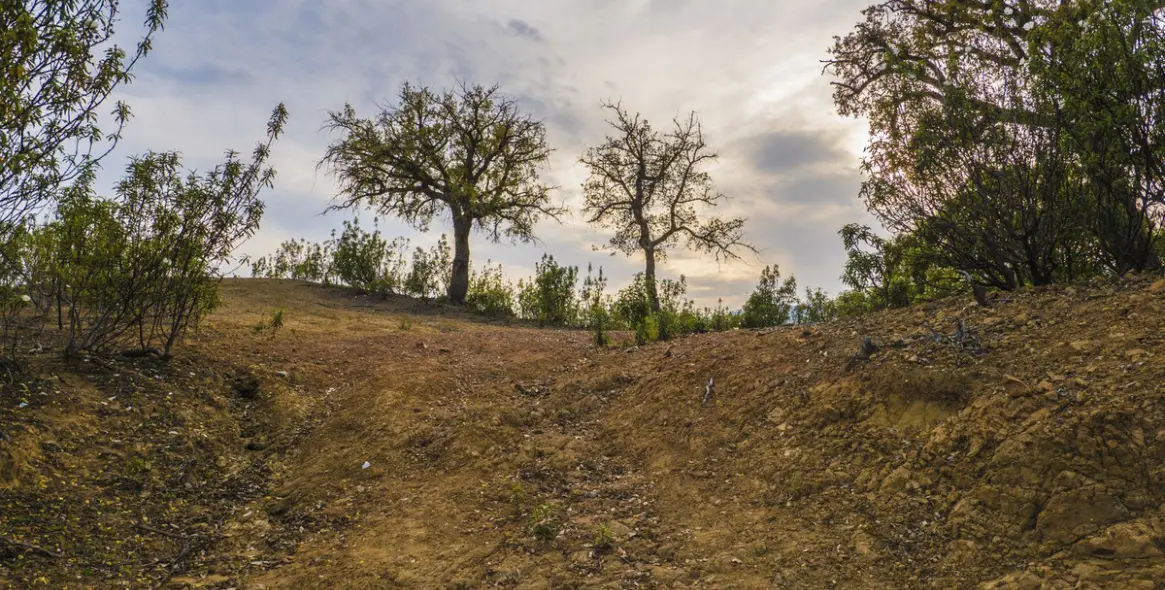 Продажа  жилого участка в La Zagaleta 8